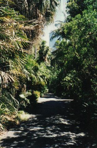 cesta v Královské botanické zahradě