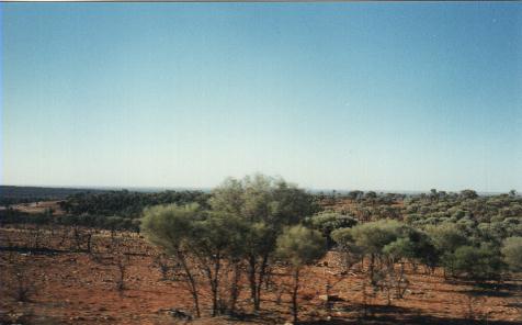 outback, okoli silnice